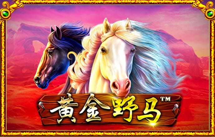 云开体育app官网下载
