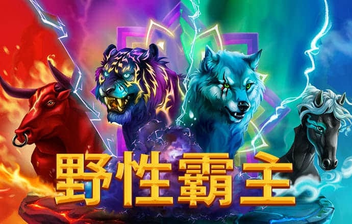 大发体育投注官网